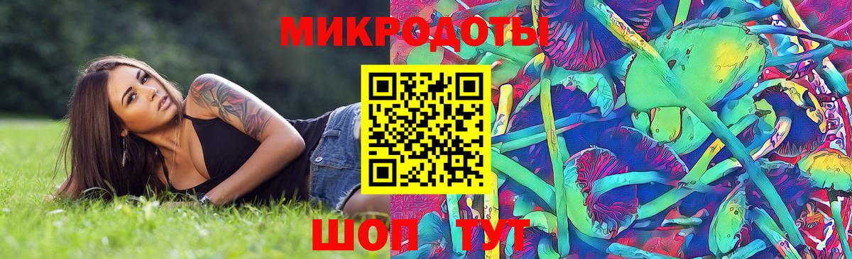Ярцево  Псилоцибиновые грибы Psilocybe  Вход с VPN 